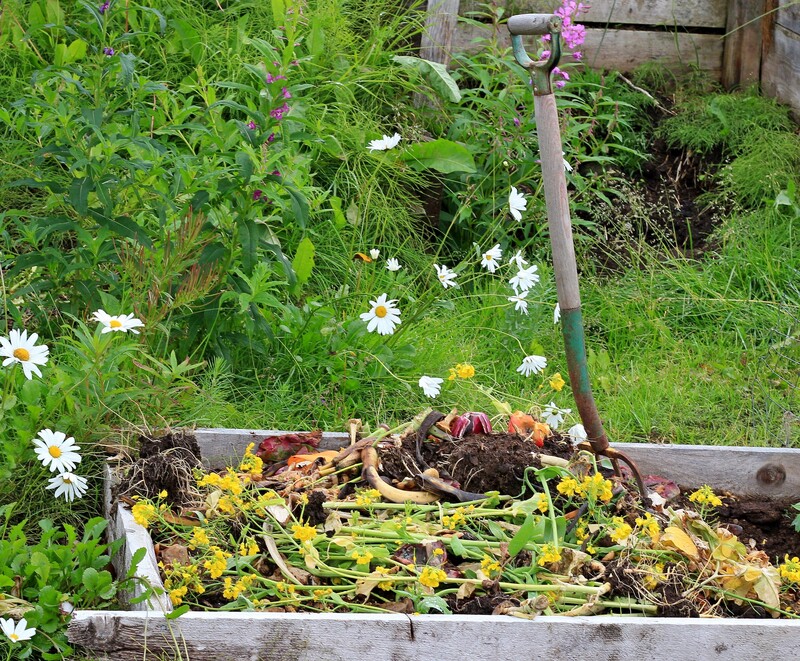 household garden